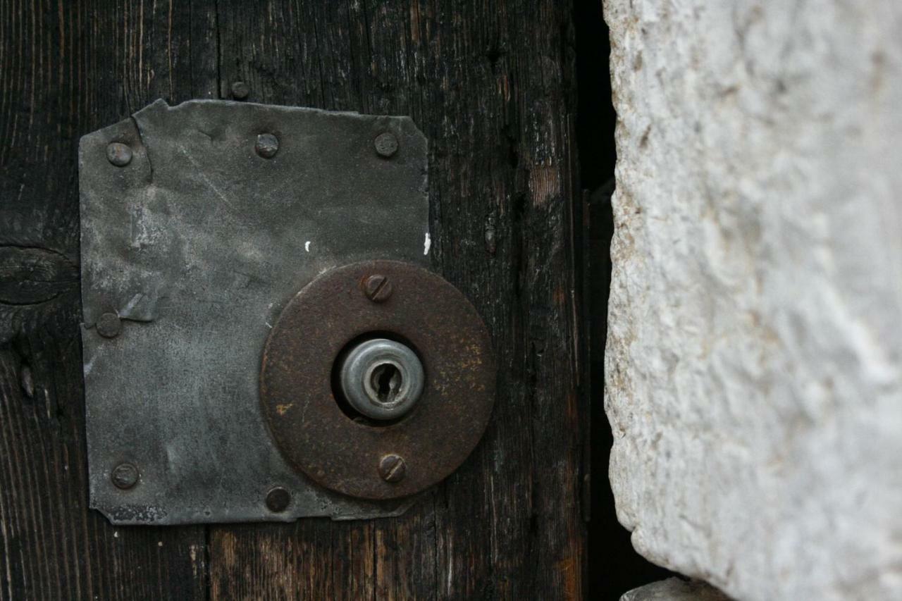 la maison aux bonsais Saint-Paul-de-Vence Extérieur photo