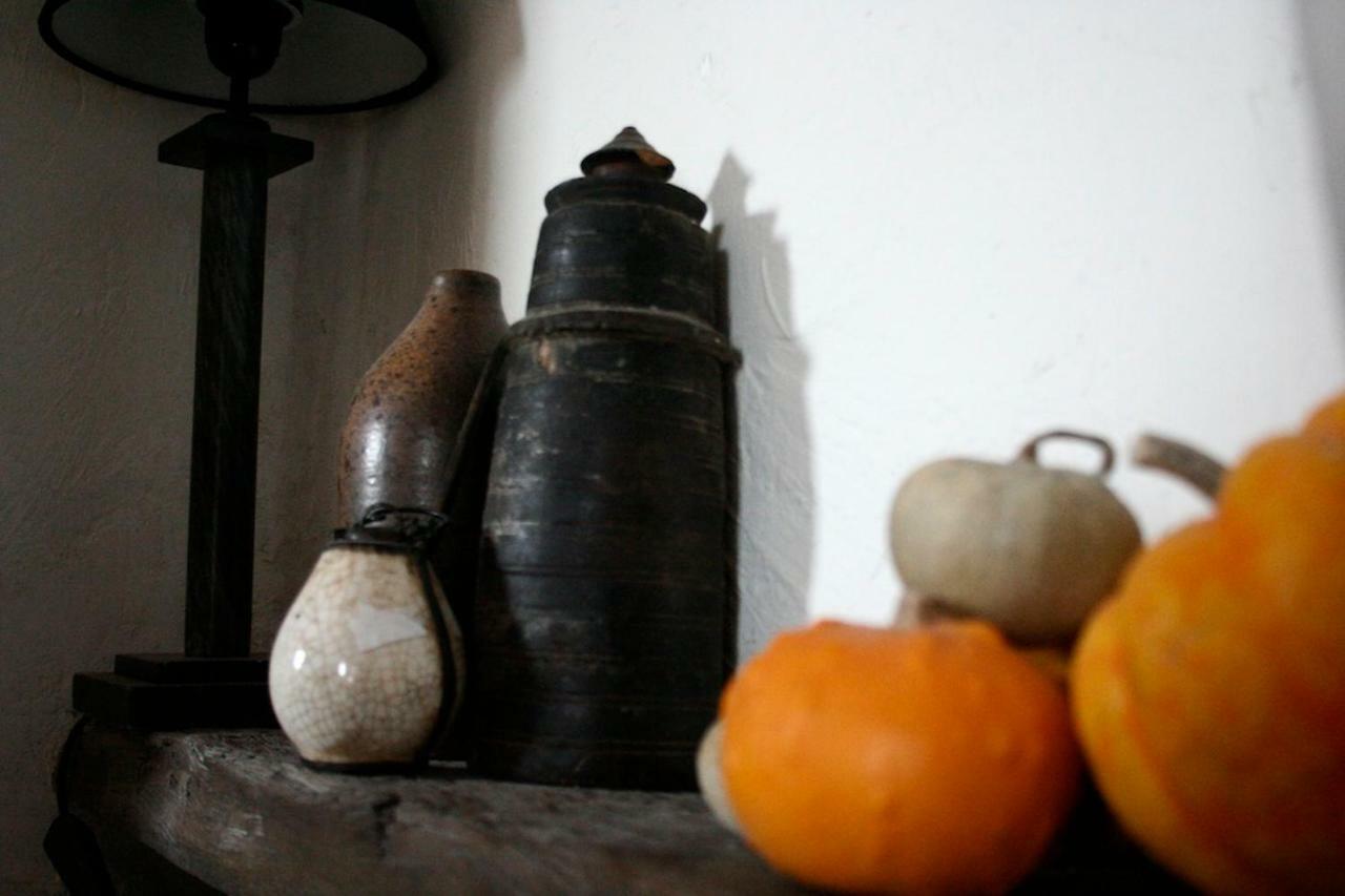 la maison aux bonsais Saint-Paul-de-Vence Extérieur photo