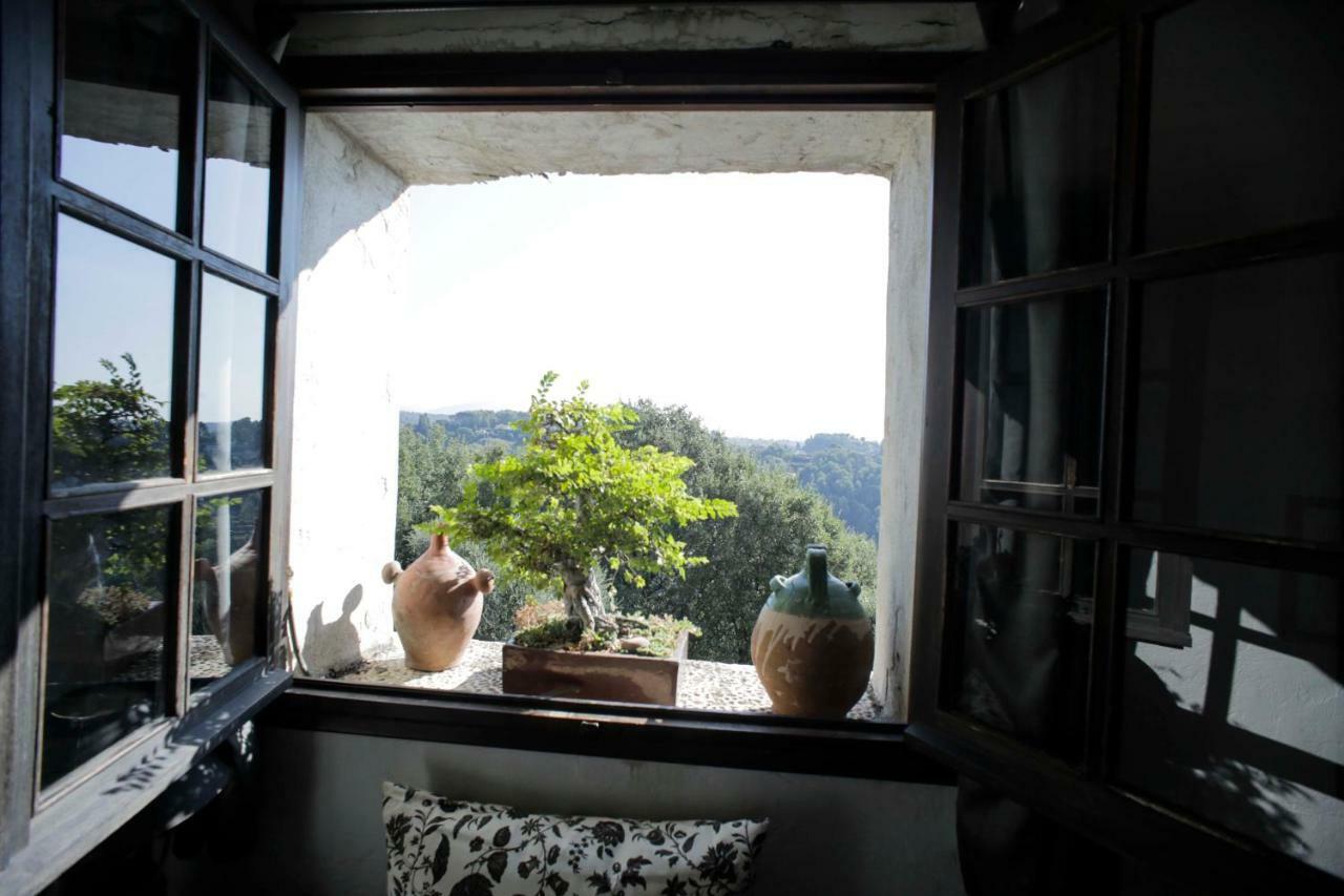 la maison aux bonsais Saint-Paul-de-Vence Extérieur photo